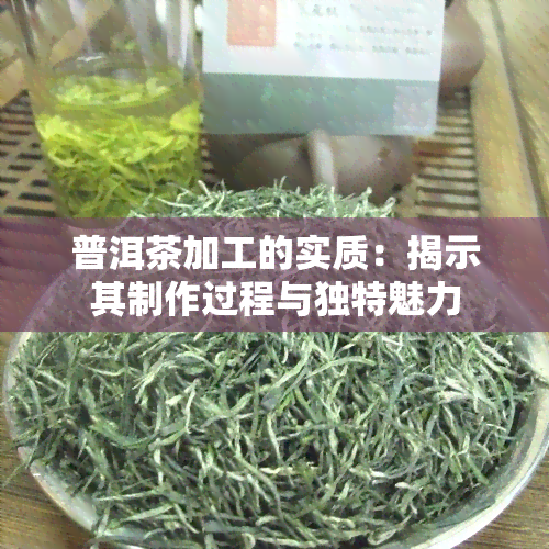 普洱茶加工的实质：揭示其制作过程与独特魅力