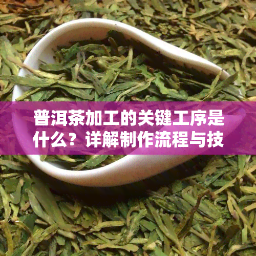 普洱茶加工的关键工序是什么？详解制作流程与技术要点