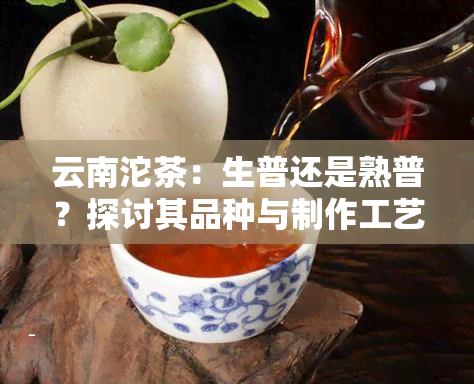 云南沱茶：生普还是熟普？探讨其品种与制作工艺