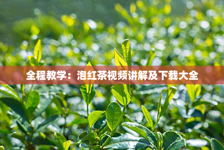 全程教学：泡红茶视频讲解及下载大全