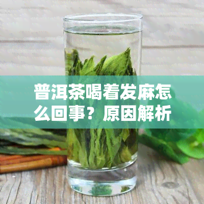 普洱茶喝着发麻怎么回事？原因解析与解决办法