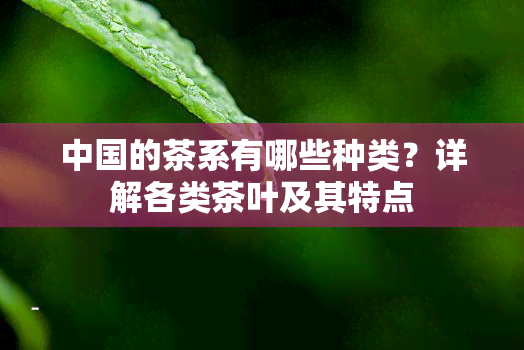 中国的茶系有哪些种类？详解各类茶叶及其特点