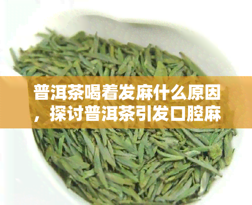 普洱茶喝着发麻什么原因，探讨普洱茶引发口腔麻木的原因