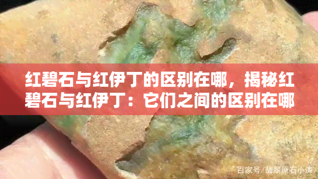 红碧石与红伊丁的区别在哪，揭秘红碧石与红伊丁：它们之间的区别在哪里？