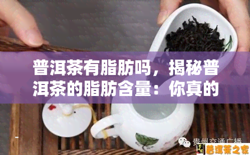 普洱茶有脂肪吗，揭秘普洱茶的脂肪含量：你真的需要担心吗？