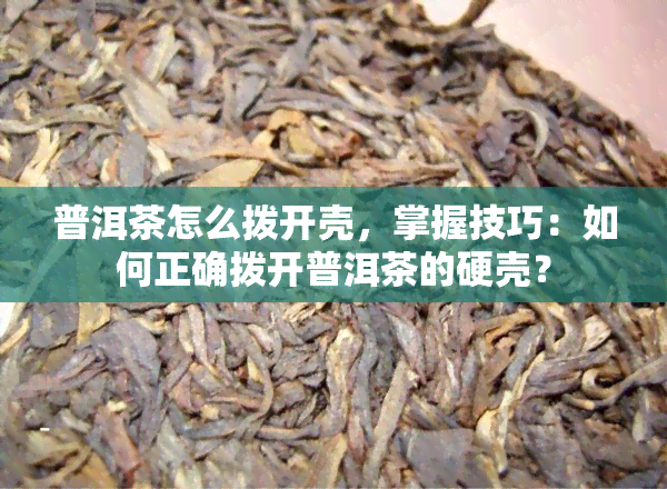 普洱茶怎么拨开壳，掌握技巧：如何正确拨开普洱茶的硬壳？