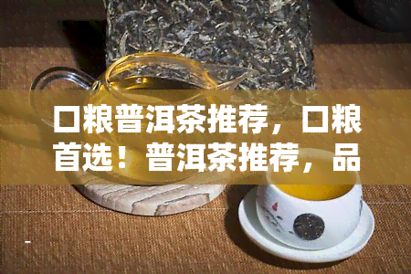 口粮普洱茶推荐，口粮首选！普洱茶推荐，品味健生活