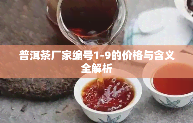 普洱茶厂家编号1-9的价格与含义全解析