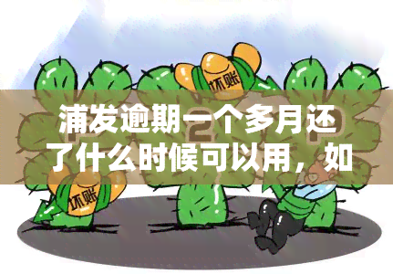 浦发逾期一个多月还了什么时候可以用，如何解决浦发银行信用卡逾期问题？