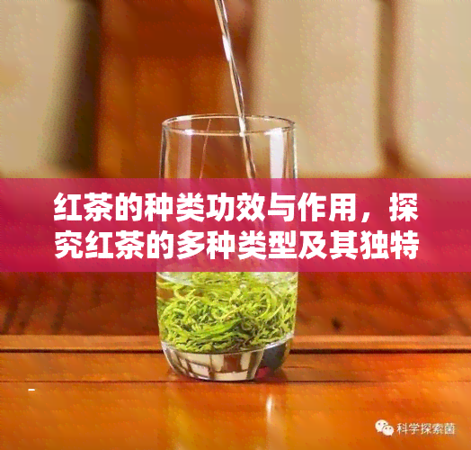 红茶的种类功效与作用，探究红茶的多种类型及其独特功效与作用