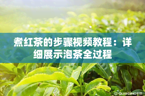 煮红茶的步骤视频教程：详细展示泡茶全过程