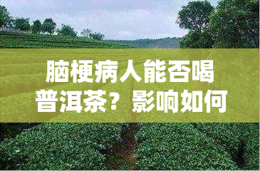 脑梗病人能否喝普洱茶？影响如何？