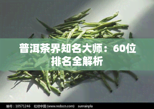 普洱茶界知名大师：60位排名全解析