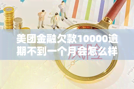 美团金融欠款10000逾期不到一个月会怎么样，美团金融：欠款10000元逾期不到一个月的后果是什么？