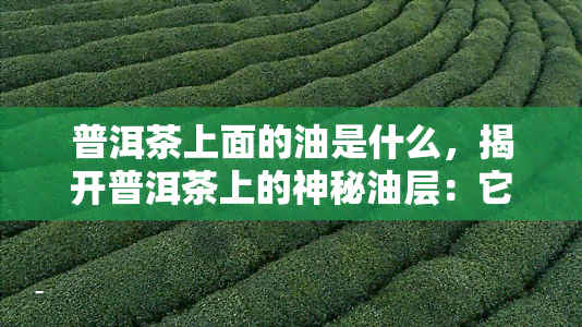 普洱茶上面的油是什么，揭开普洱茶上的神秘油层：它到底是什么呢？