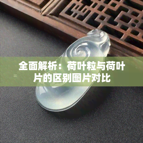 全面解析：荷叶粒与荷叶片的区别图片对比