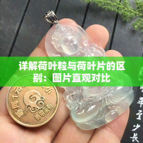 详解荷叶粒与荷叶片的区别：图片直观对比