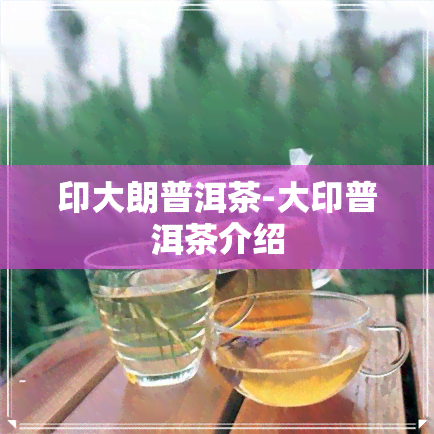 印大朗普洱茶-大印普洱茶介绍