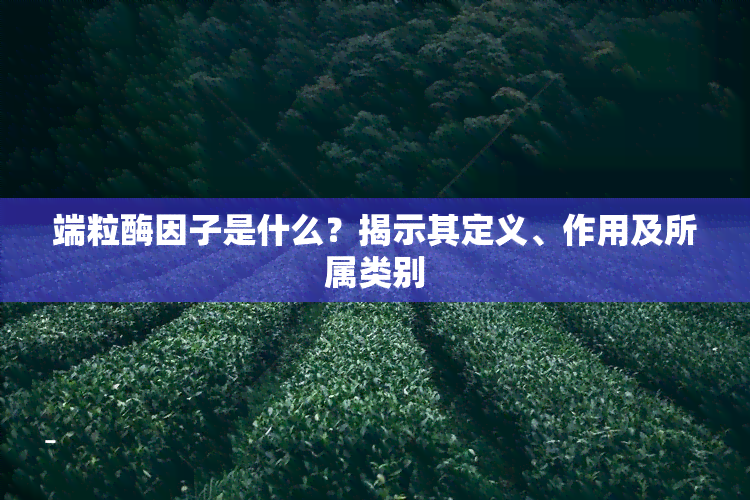 端粒酶因子是什么？揭示其定义、作用及所属类别