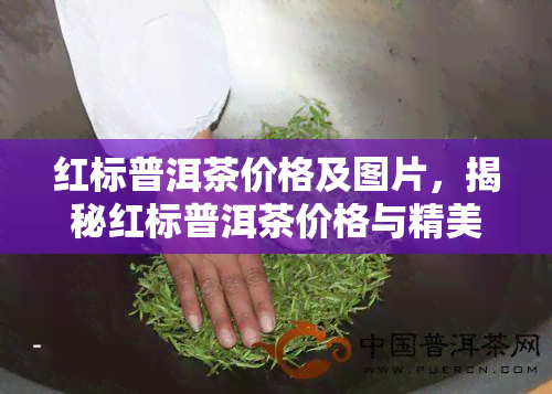 红标普洱茶价格及图片，揭秘红标普洱茶价格与精美图片，一文带你看懂！