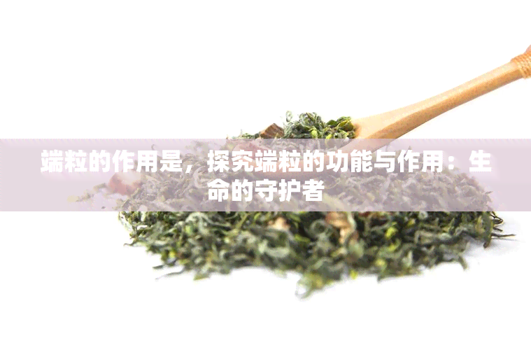 端粒的作用是，探究端粒的功能与作用：生命的守护者