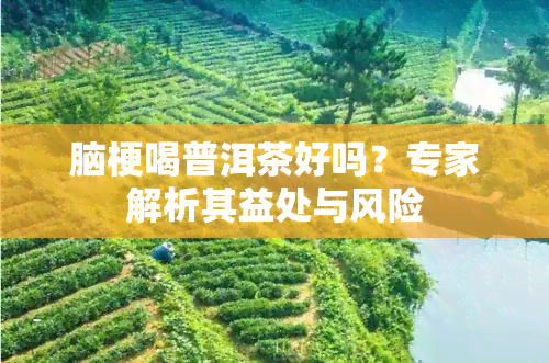 脑梗喝普洱茶好吗？专家解析其益处与风险