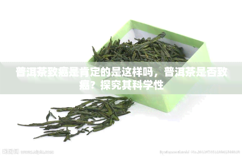 普洱茶致癌是肯定的是这样吗，普洱茶是否致癌？探究其科学性