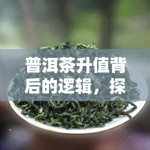 普洱茶升值背后的逻辑，探秘普洱茶升值背后的原因与逻辑