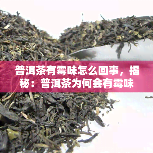 普洱茶有霉味怎么回事，揭秘：普洱茶为何会有霉味？