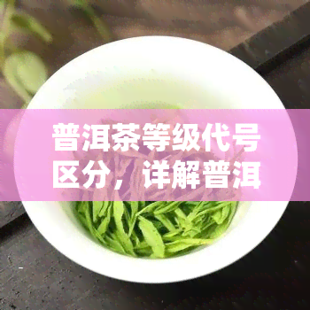 普洱茶等级代号区分，详解普洱茶等级代号，轻松分辨不同级别茶叶