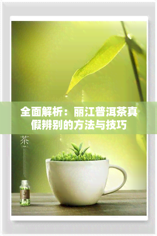 全面解析：丽江普洱茶真假辨别的方法与技巧