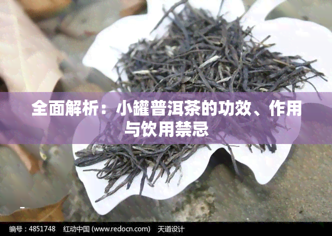 全面解析：小罐普洱茶的功效、作用与饮用禁忌