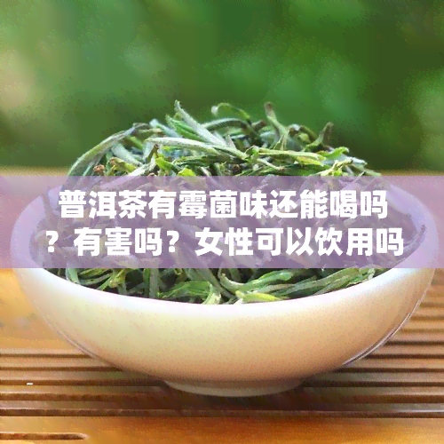 普洱茶有霉菌味还能喝吗？有害吗？女性可以饮用吗？