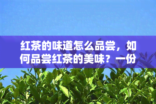 红茶的味道怎么品尝，如何品尝红茶的美味？一份详细的指南