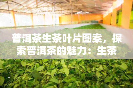 普洱茶生茶叶片图案，探索普洱茶的魅力：生茶叶片图案的美学解析