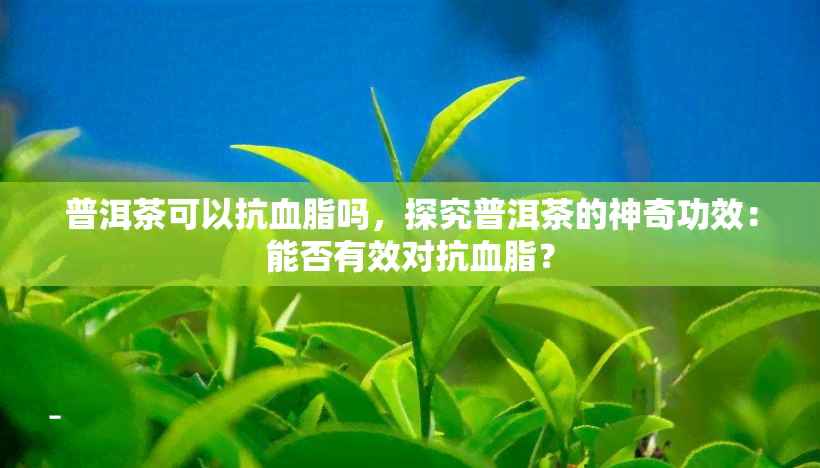 普洱茶可以抗血脂吗，探究普洱茶的神奇功效：能否有效对抗血脂？