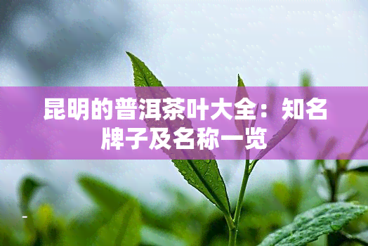 昆明的普洱茶叶大全：知名牌子及名称一览