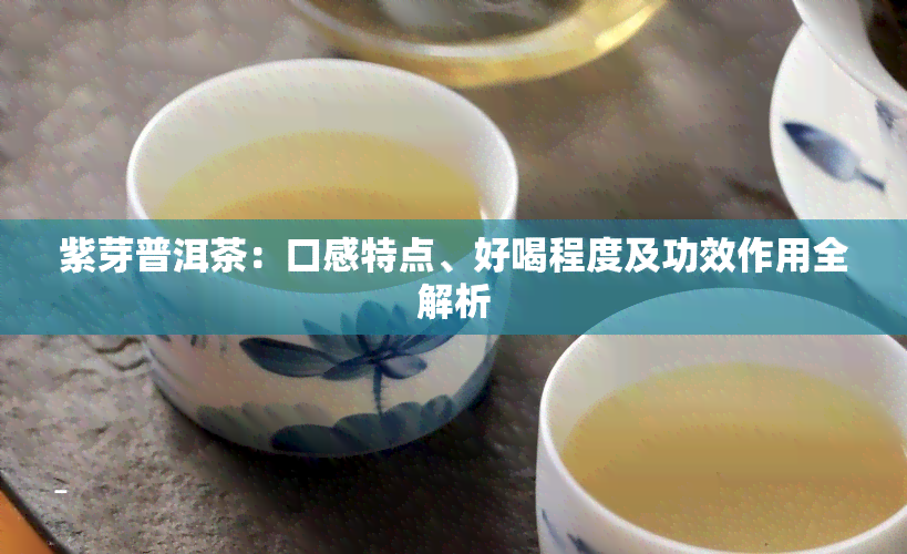 紫芽普洱茶：口感特点、好喝程度及功效作用全解析