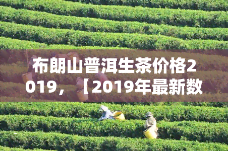 布朗山普洱生茶价格2019，【2019年最新数据】布朗山普洱生茶市场价格行情分析