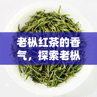 老枞红茶的香气，探索老枞红茶的魅力：独特的香气与口感