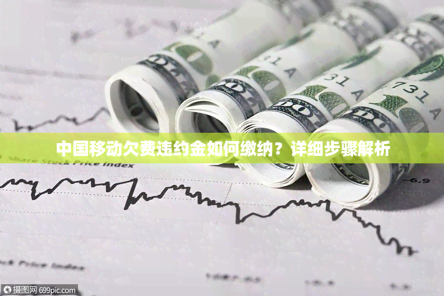 中国移动欠费违约金如何缴纳？详细步骤解析