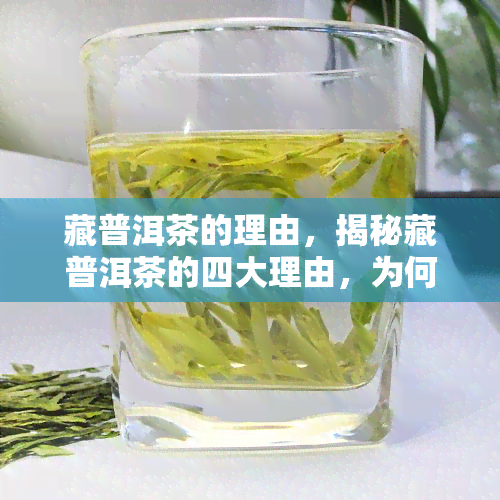 藏普洱茶的理由，揭秘藏普洱茶的四大理由，为何它备受推崇？