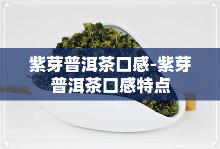 紫芽普洱茶口感-紫芽普洱茶口感特点