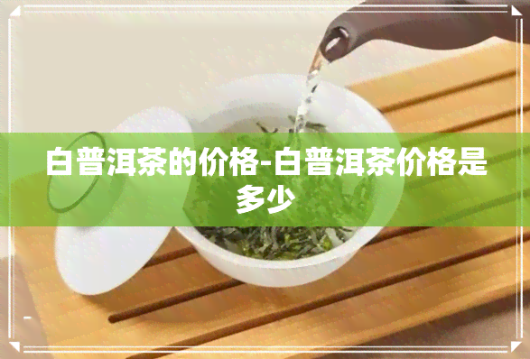 白普洱茶的价格-白普洱茶价格是多少