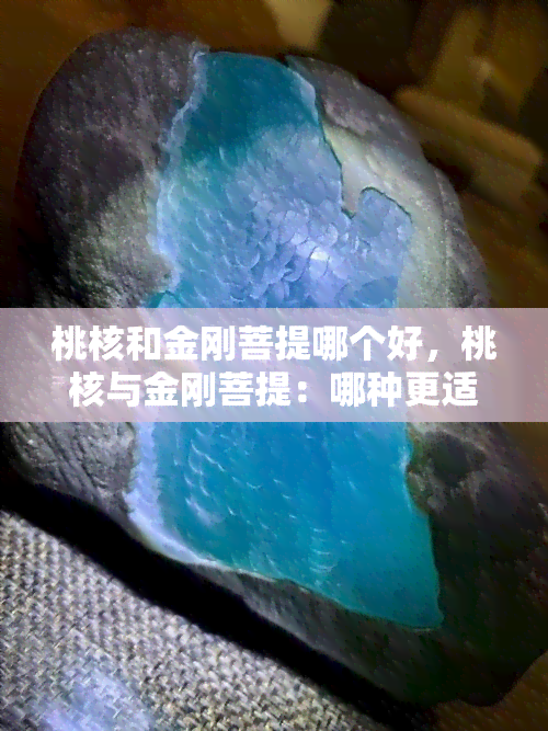 桃核和金刚菩提哪个好，桃核与金刚菩提：哪种更适合你？