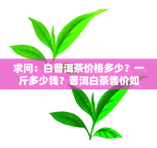 求问：白普洱茶价格多少？一斤多少钱？普洱白茶售价如何？