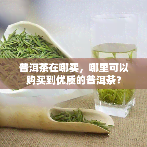 普洱茶在哪买，哪里可以购买到优质的普洱茶？