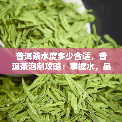 普洱茶水度多少合适，普洱茶泡制攻略：掌握水，品味醇厚韵味