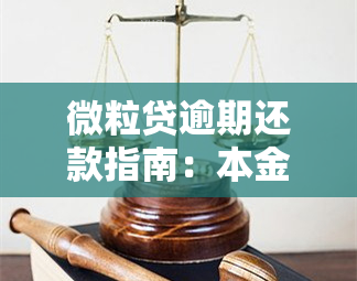 微粒贷逾期还款指南：本金、利息如何偿还？