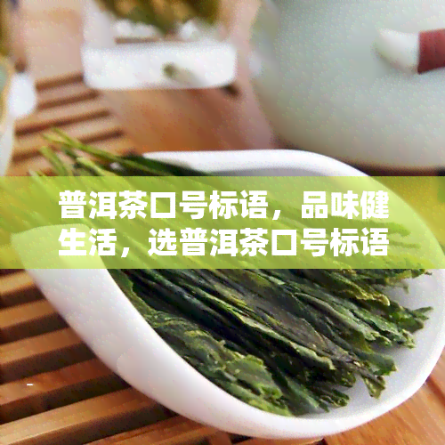 普洱茶口号标语，品味健生活，选普洱茶口号标语！